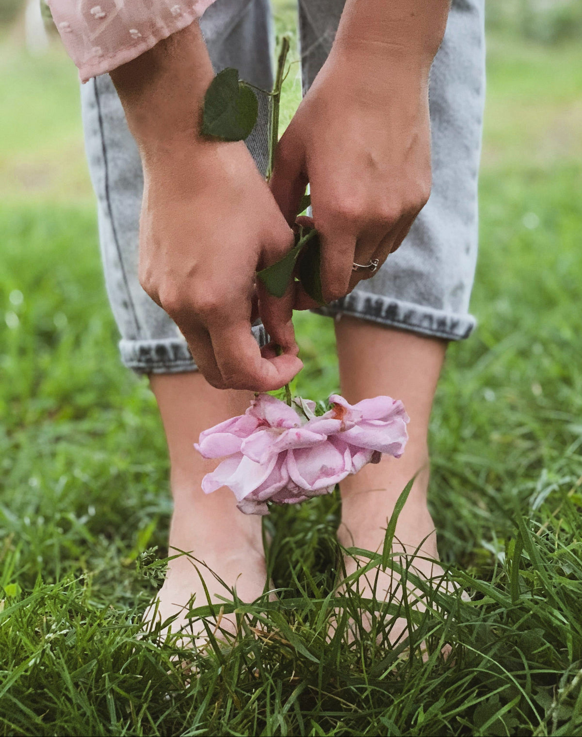 A close-up lifestyle shot of a person's hands holding a light pink rose stem with green leaves, standing in a grassy outdoor field. The person is wearing light-wash denim jeans and a pale pink patterned top.